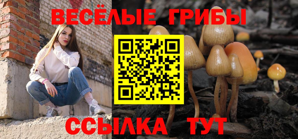 Псилоцибиновые грибы прущие грибы  Вход с VPN  Северск 