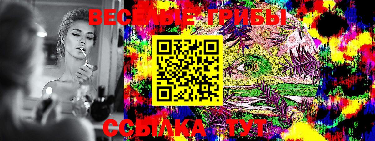 Галлюциногенные грибы GOLDEN TEACHER Северск